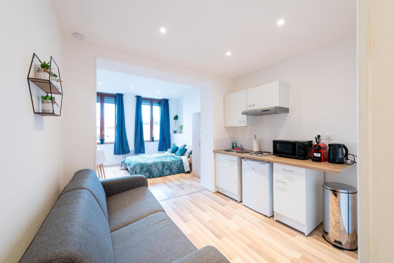 Cosy Location - Confortable, Cosy Et Equipe - Places Gratuites A Proximite Anzin Εξωτερικό φωτογραφία