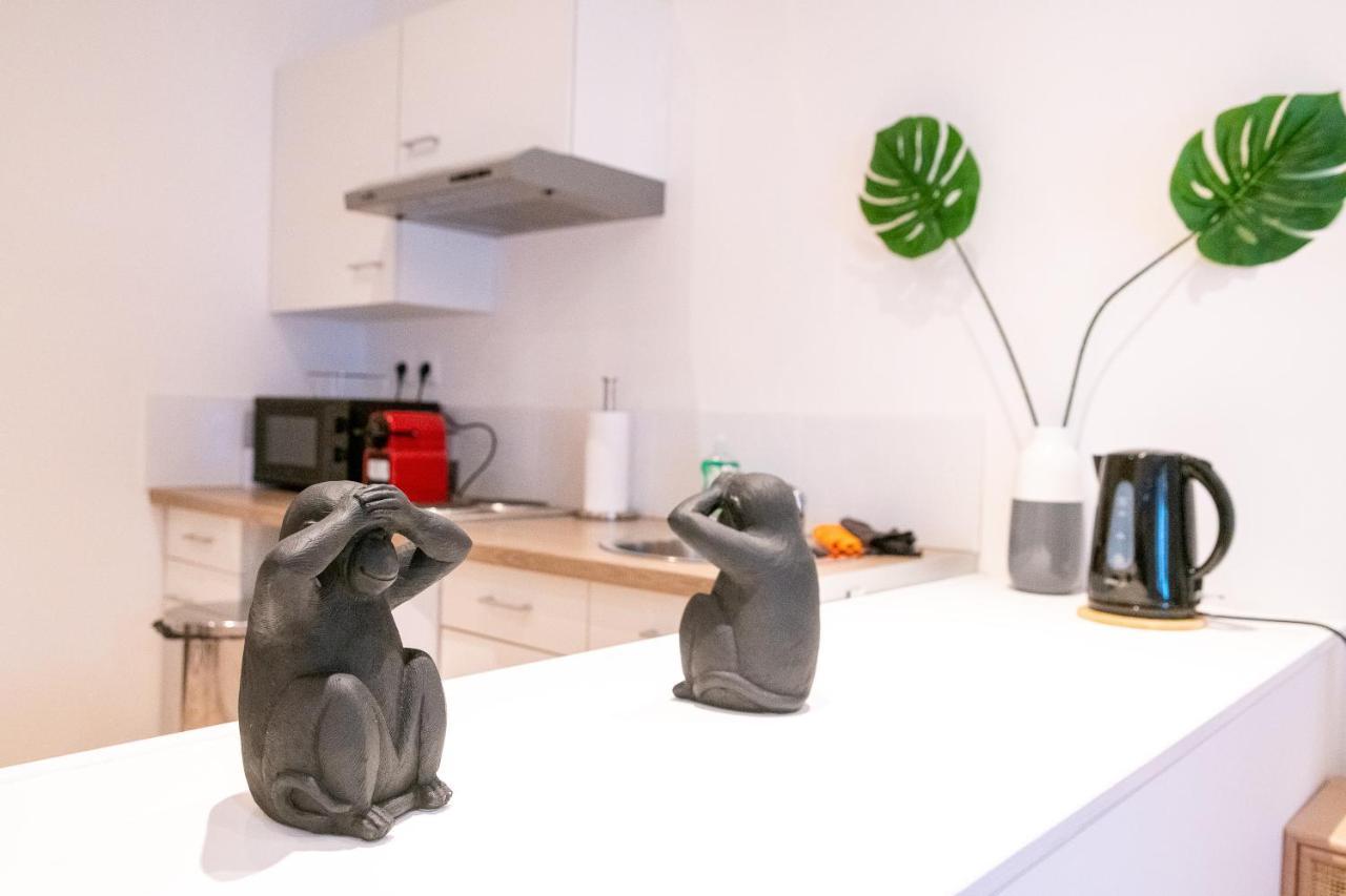 Cosy Location - Confortable, Cosy Et Equipe - Places Gratuites A Proximite Anzin Εξωτερικό φωτογραφία